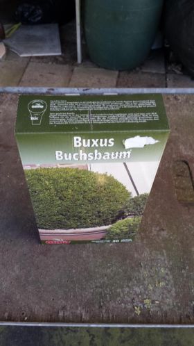 Osmo buxus mest