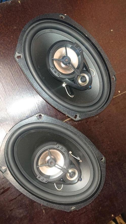 Ovale speakers 6x9 inch 3 weg