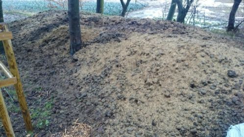 Paardenmest gratis afhalen