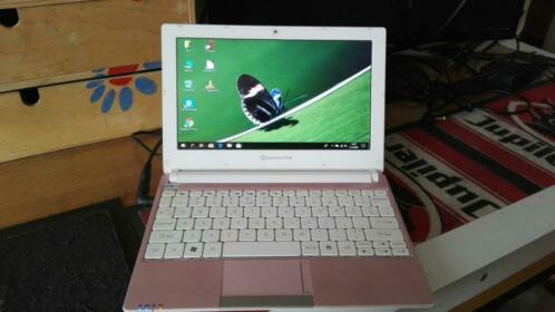 packard bell dot s pink