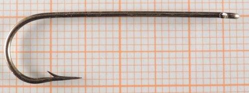 Palinghaken Kensaki, Xyniy, Elite, Awa Shima, Bolu, Mustad