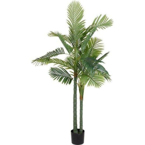 Palmboom 2x in pot 180cm