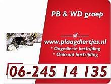 PB amp WD Groep zoekt jouw (manvrouw)