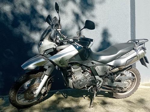 Pegaso Trail 650  tet