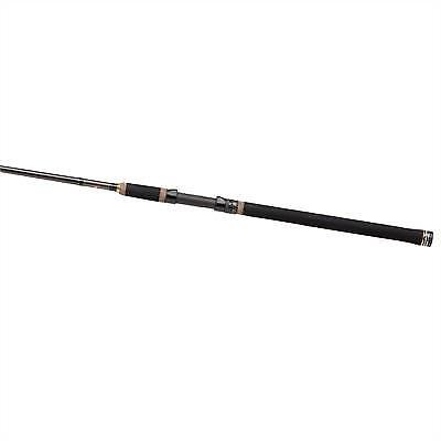 Penn Regiment II HSX 242  2.40m  30-100g (Hengel  Spin)