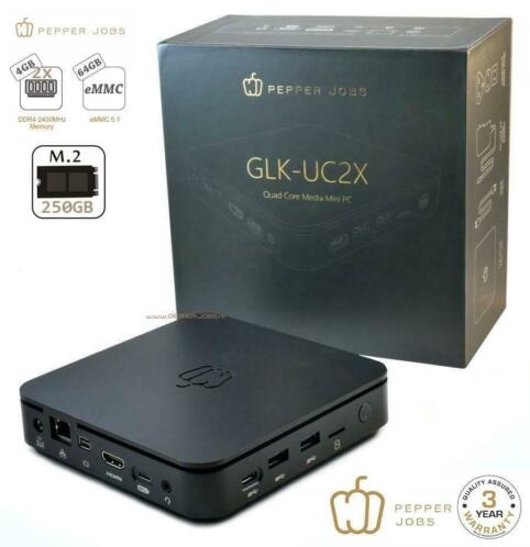 Pepper Jobs GLK-UC2X 8GB64GB M.2 250GB SSD