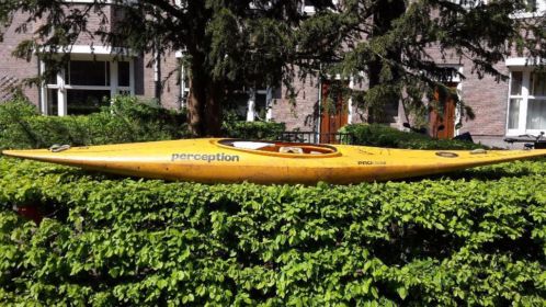 Perception Fox kayak