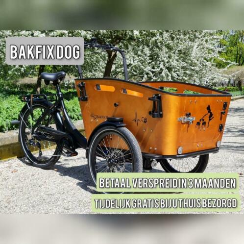 Perfecte bakfiets voor het hele gezin de nieuwe Bakfix Dog