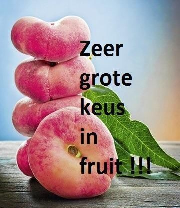 perzik nectarine notenboom fruit abrikoos nashipeer amandel 