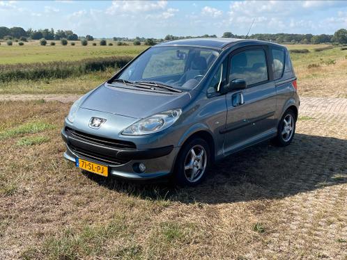 Peugeot 1007 1.6 16V Sporty 2-TRONIC 2006 Grijs