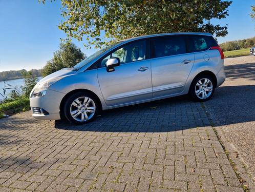 Peugeot 2010 Grijs