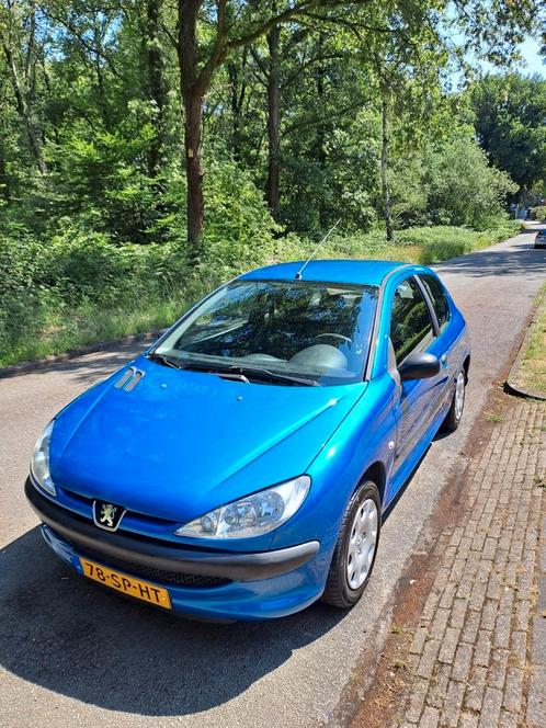 Peugeot 206 1.4 3D 2006 Blauw