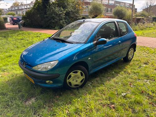 Peugeot 206 1.4 X-line 3D 2003 Blauw