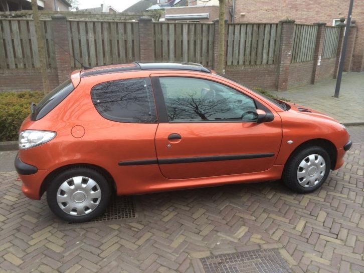 Peugeot 206 14i Bj 2001 km 107.690 carpas luxe model