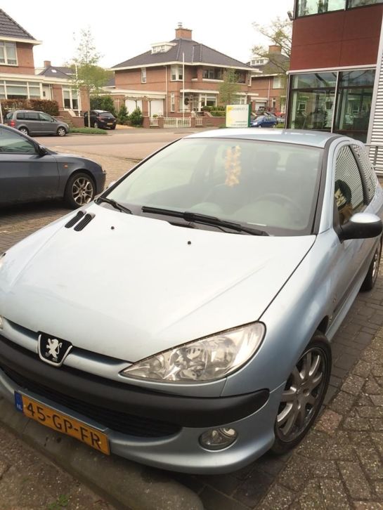 Peugeot 206 1.6 16V 3D 2001 Grijs