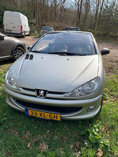 Peugeot 206 1.6 16V CC 2003 Grijs