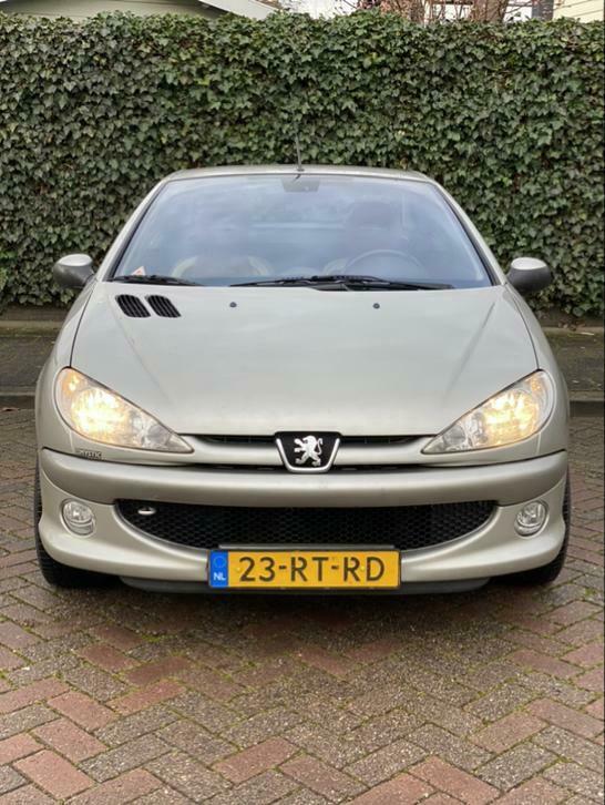 Peugeot 206 1.6 2005 Grijs Ronald GarrosAPK TOT dec 2020