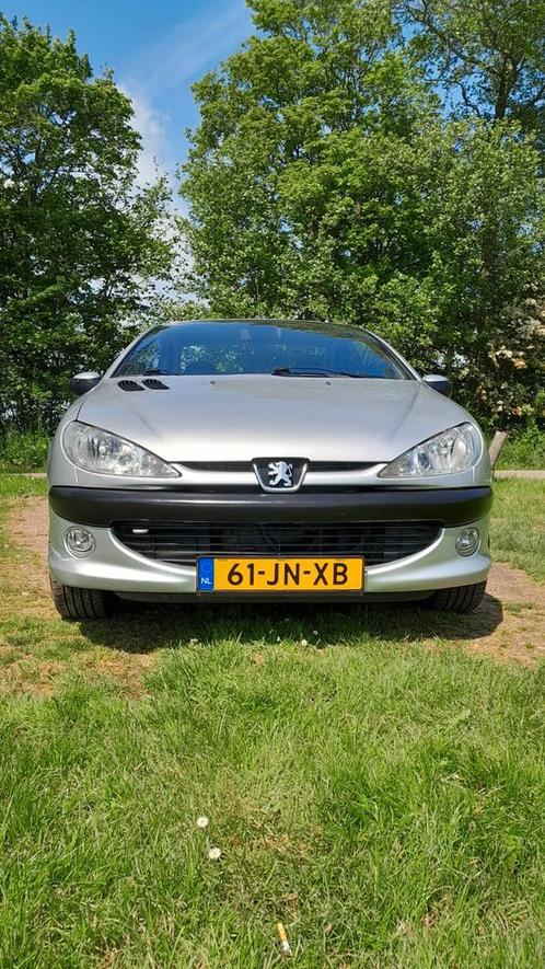 Peugeot 206 2.0 16V CC 2002 Grijs