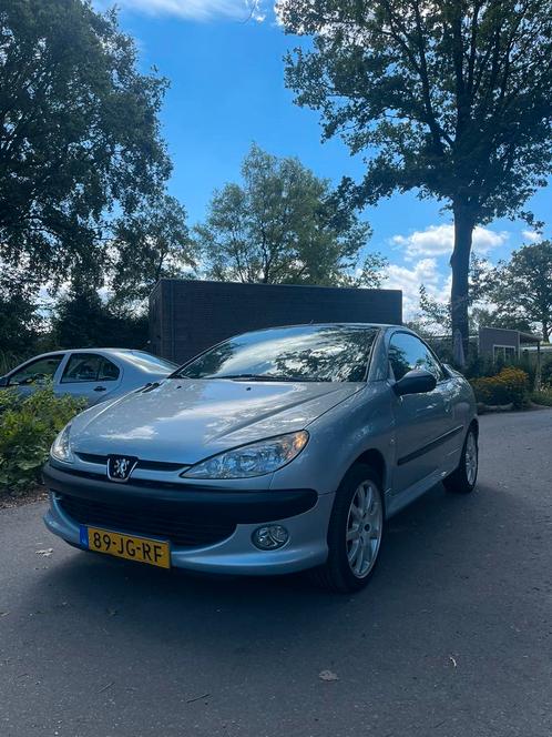 Peugeot 206 2.0 16V CC 2002 Grijs