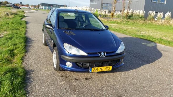 Peugeot 206 benzine apk tm sept 2015, topautootje