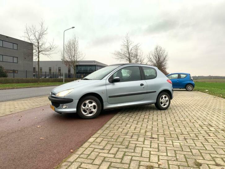 Peugeot 206 met Glazen Dakraam Nieuwe APK etc.