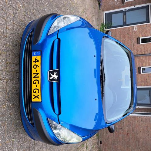 Peugeot 307 1.4 Gentry 3DR 2003 Blauw