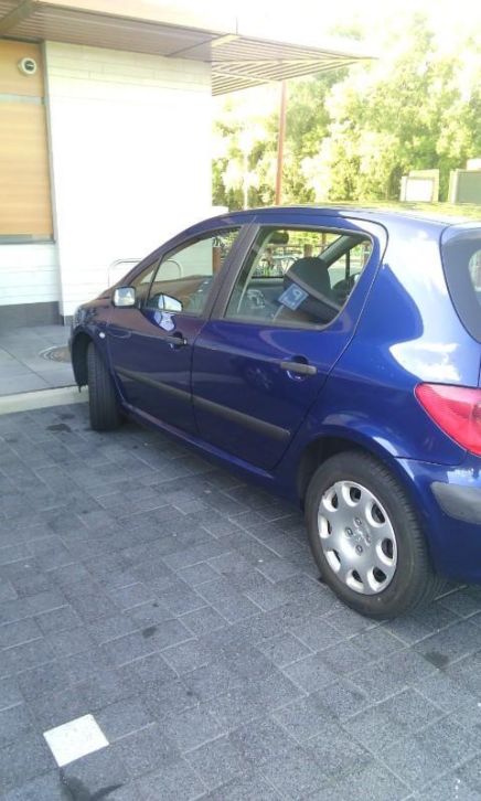 Peugeot 307 1.4 Gentry 5DR 2002 Blauw