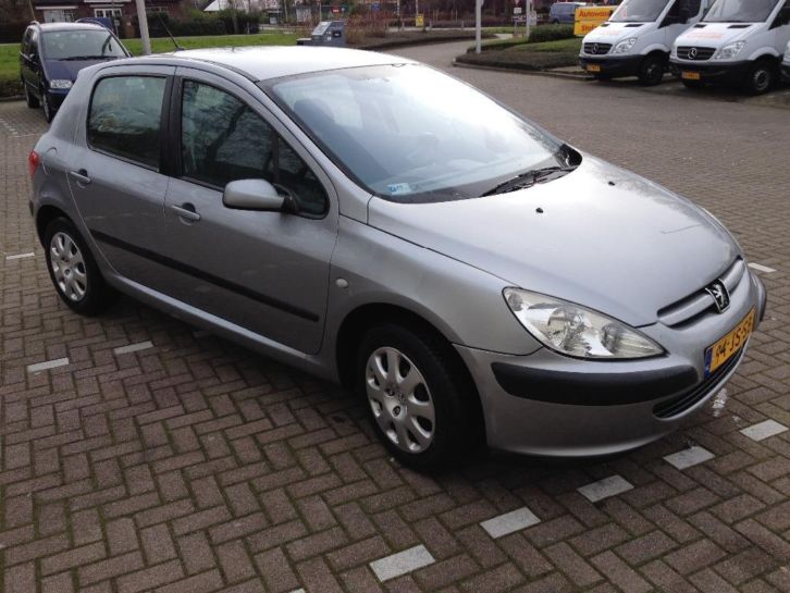 Peugeot 307 1.6 16V 5DR 2002 Grijs