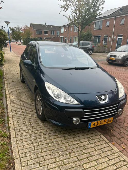 Peugeot 307 1.6 16V 5DR 2007 Blauw