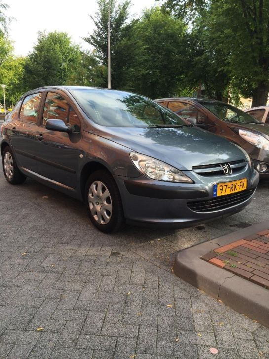 Peugeot 307 1.6 16V 5DR AUT 2005 Grijs
