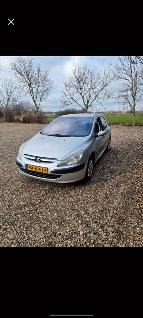 Peugeot 307 1.6 16V 5DRS 2004 Grijs