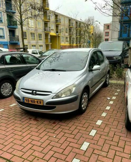 Peugeot 307 1.6 16V 5DRS 2004 Grijs