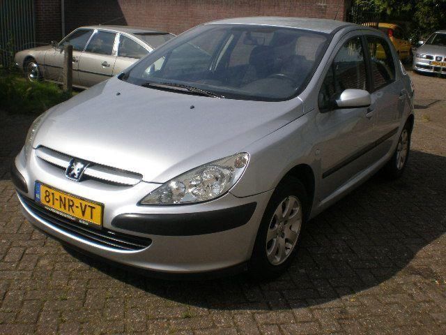 Peugeot 307 1.6 16v xs pack clima (bj 2004)
