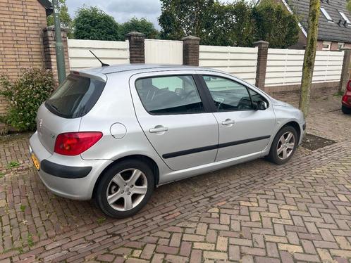 Peugeot 307 2.0 16V 136PK 5DR 2003 - TEAB