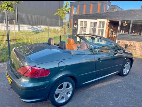 Peugeot 307 2.0 16V CC cabrio 2004 Grijs