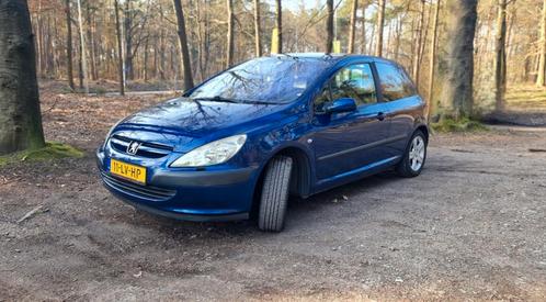 Peugeot 307 2.0 16V Griffe AutomaatAircoLeer137.323km