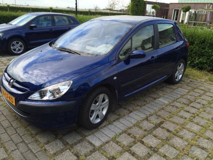 Peugeot 307 2.0 16V XT 5DR AUT 2003 Blauw