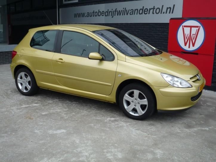 Peugeot 307 2.0 16vAircoHalf LederALL IN (bj 2004)