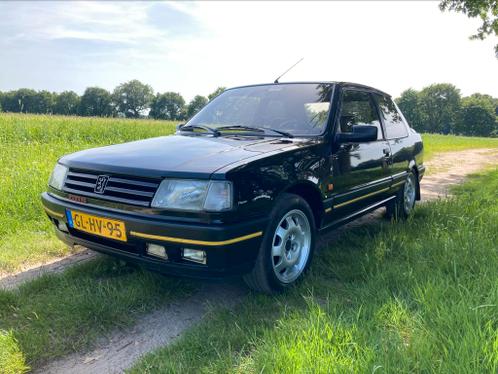 Peugeot 309 1.9 GTI 16V 160pk