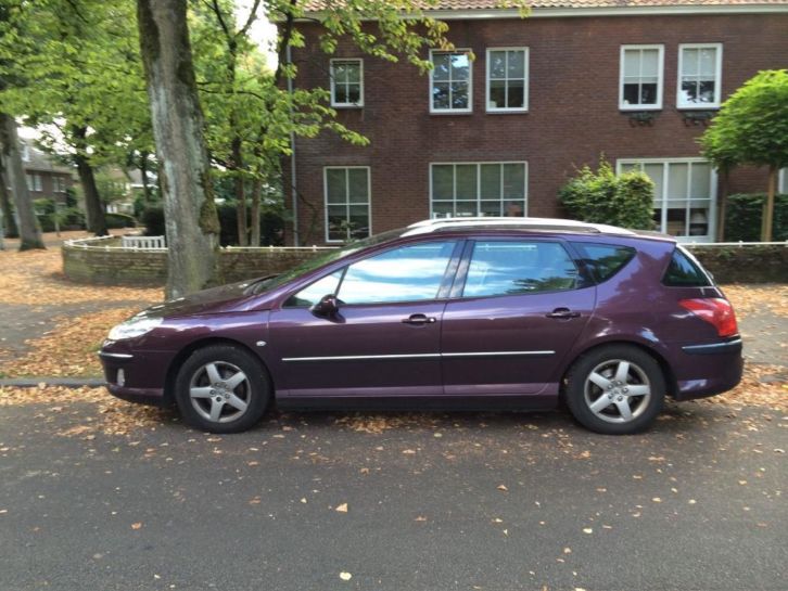 Peugeot 407 2.0 HDI 16V SW 2006 Paars