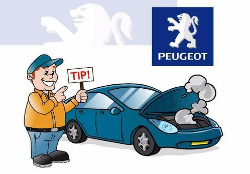 Peugeot auto diagnose apparatuur scanner OBD OBD2 uitlezen