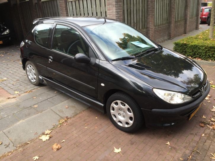 Peugot 206 bouwj 2004 Roland caros look