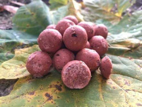 Pink strawberry birdfood boilies.