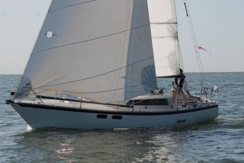Pion 30