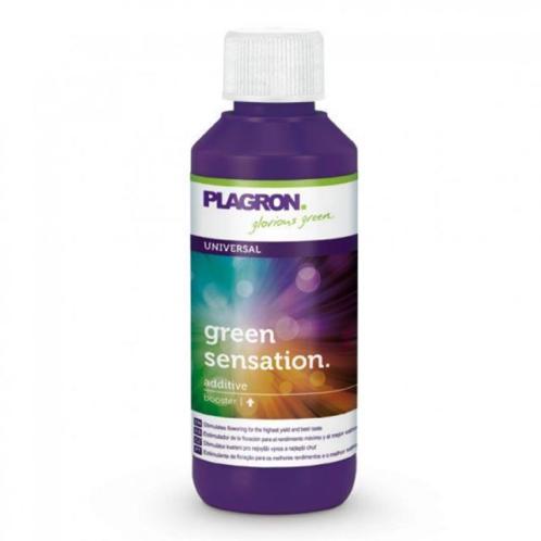 Plagron green sensation 100 ml