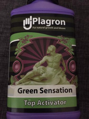 PLAGRON green sensation