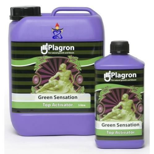  plagron green sensation  top booster. 