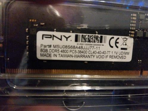 Pny DDR 5 geheugen