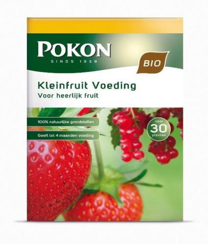 Pokon Bio Kleinfruit Voeding 1kg