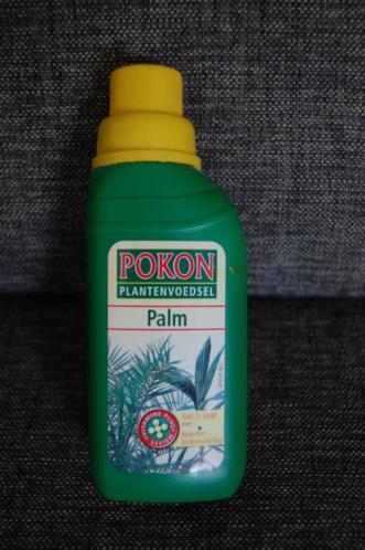 Pokon plantenvoeding voor een Palm